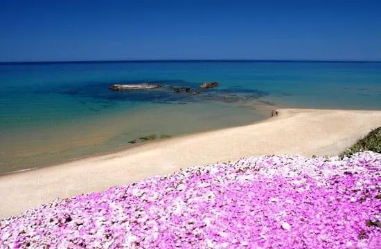 Owen Home Holiday Castelsardo